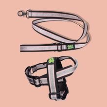 Load image into Gallery viewer, Pawsome Pack - M