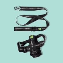 Load image into Gallery viewer, Pawsome Pack - S