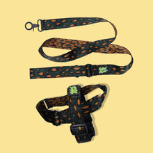 Load image into Gallery viewer, Pawsome Pack - XS