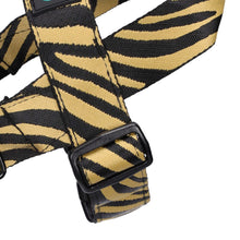 Load image into Gallery viewer, Albie Harness