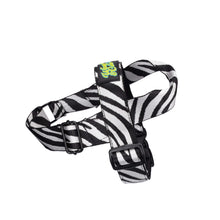 Load image into Gallery viewer, Autumn Harness