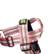 Load image into Gallery viewer, Bubble Gum Harness