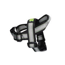 Load image into Gallery viewer, Buttercup Harness