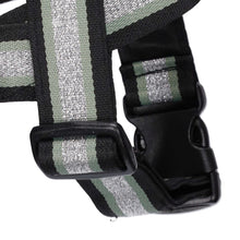 Load image into Gallery viewer, Buttercup Harness