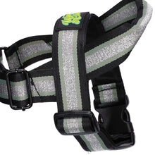 Load image into Gallery viewer, Buttercup Harness