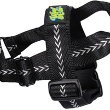 Load image into Gallery viewer, Coco Pops Harness