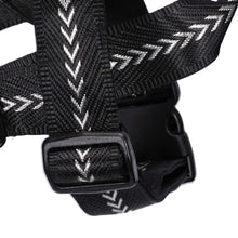 Load image into Gallery viewer, Coco Pops Harness