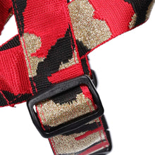 Load image into Gallery viewer, Fancy Frankie Harness