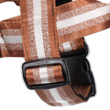 Load image into Gallery viewer, Kobe Harness