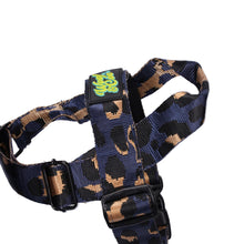 Load image into Gallery viewer, Lucky Charm Harness