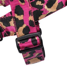 Load image into Gallery viewer, Molly Harness