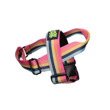 Load image into Gallery viewer, Outrageous Obi Harness