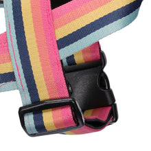 Load image into Gallery viewer, Outrageous Obi Harness