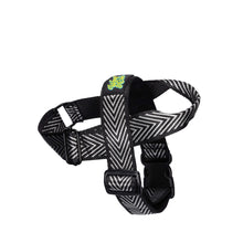 Load image into Gallery viewer, Paris Harness