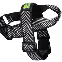 Load image into Gallery viewer, Paris Harness