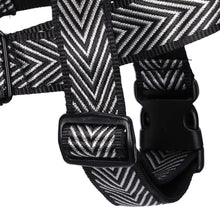 Load image into Gallery viewer, Paris Harness