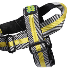 Load image into Gallery viewer, Pluto Harness