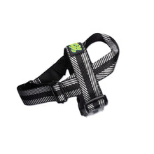 Load image into Gallery viewer, Royal Roxy Harness