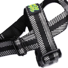 Load image into Gallery viewer, Royal Roxy Harness