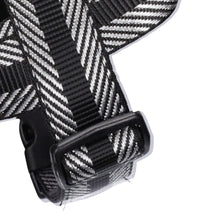 Load image into Gallery viewer, Royal Roxy Harness
