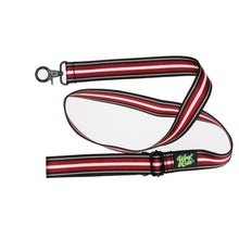 Load image into Gallery viewer, Sassy Sully Lead