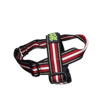 Load image into Gallery viewer, Sassy Sully Harness