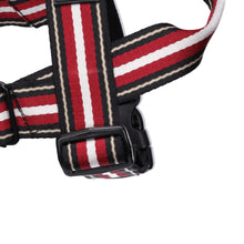 Load image into Gallery viewer, Sassy Sully Harness