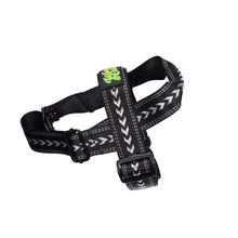 Load image into Gallery viewer, Shark Attack Harness