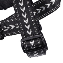 Load image into Gallery viewer, Shark Attack Harness