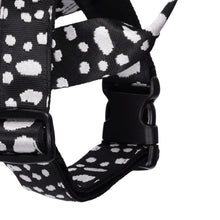 Load image into Gallery viewer, Stormy Day Harness