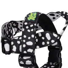 Load image into Gallery viewer, Stormy Day Harness