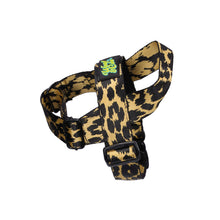 Load image into Gallery viewer, Super Summer Harness