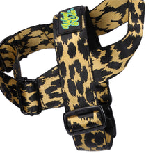 Load image into Gallery viewer, Super Summer Harness