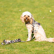 Load image into Gallery viewer, Lucy the Leopard Harness
