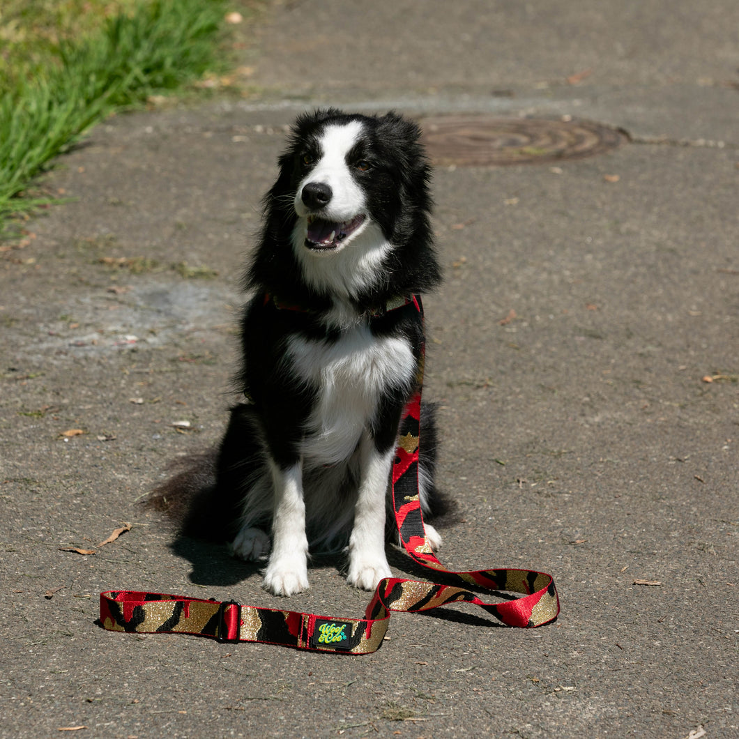 Fancy Frankie Harness