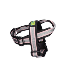 Load image into Gallery viewer, Candy Floss Harness
