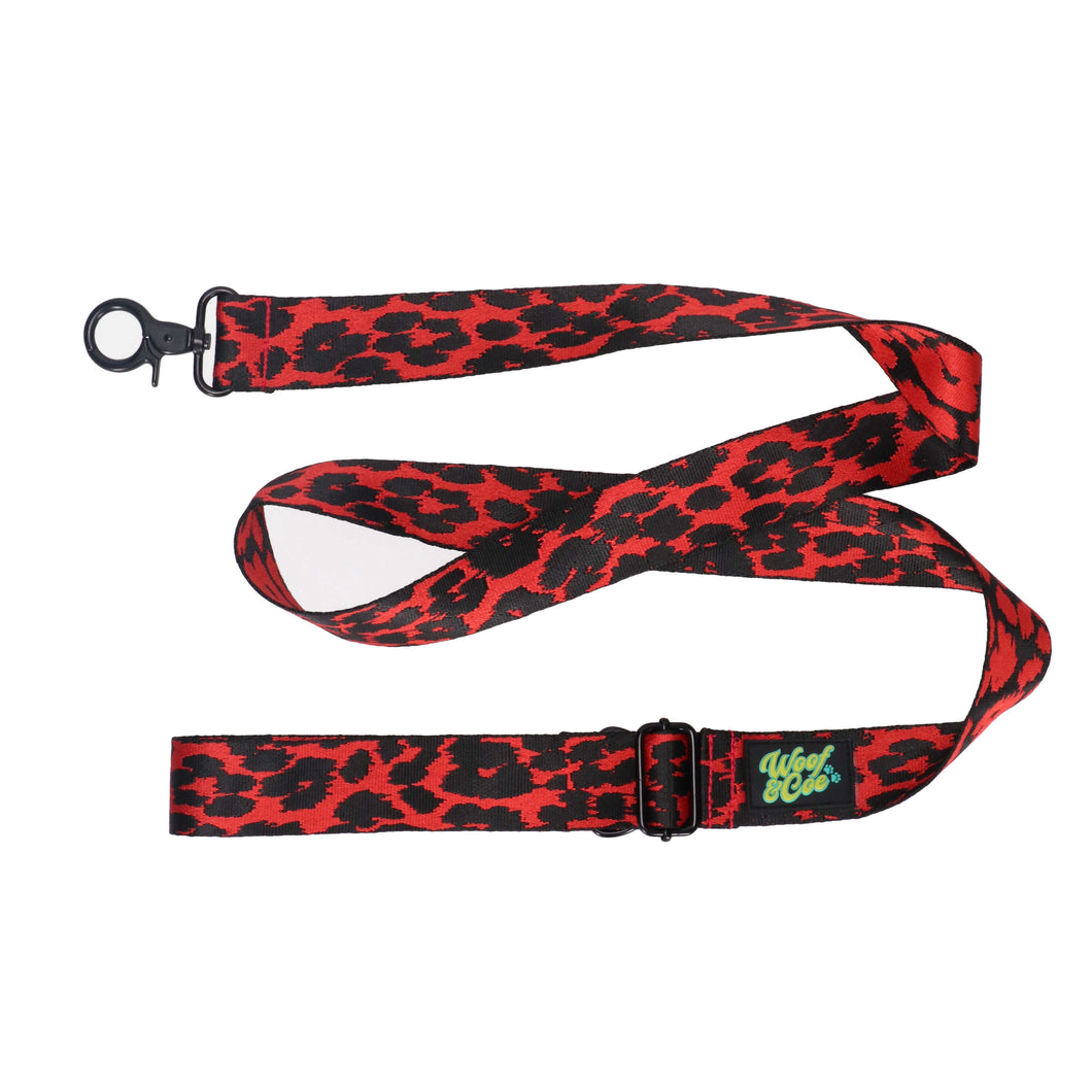 Lady Bug Lead