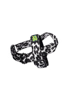 Load image into Gallery viewer, Lassie Harness
